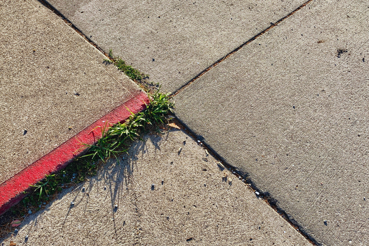 uneven sidewalk in need of repair