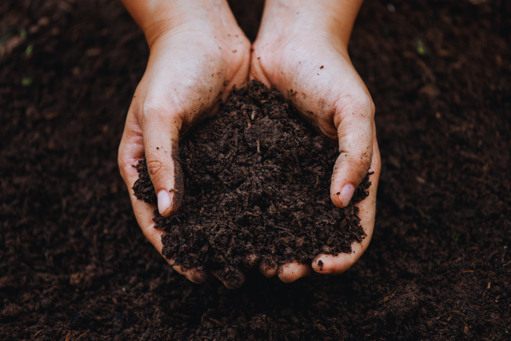 hands holding a scoop of soil